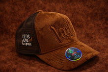 Load image into Gallery viewer, BROWN &amp; BROWN LOUD VELVET HAT

